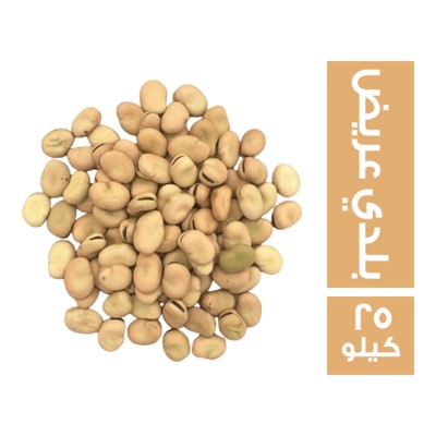 فول بلدي عريض - 25 كجم