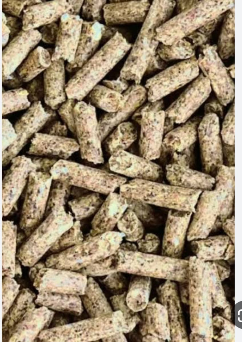 مواشي بني سويف المراعي الاصلي 70ك